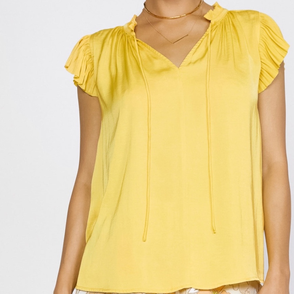 Pleated Sleeve Blouse
